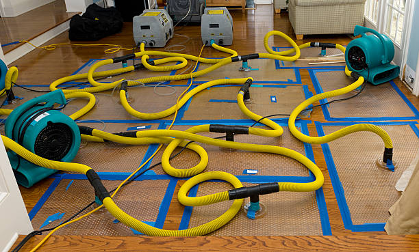 Professional Crawl Space Water Removal technician working in Nesbit, MS